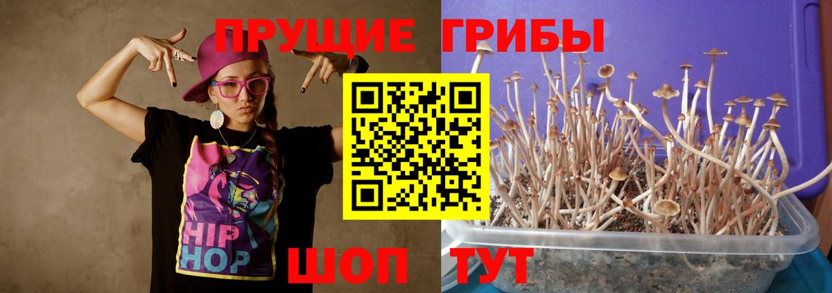 НБОМе  Сертолово  А ПВП СОЛЬ кристаллы  Мефедрон кристаллы  Вход с VPN  Кокаин  Экстази  Канабис 